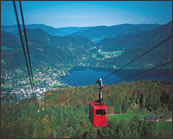 ZWLFERHORN