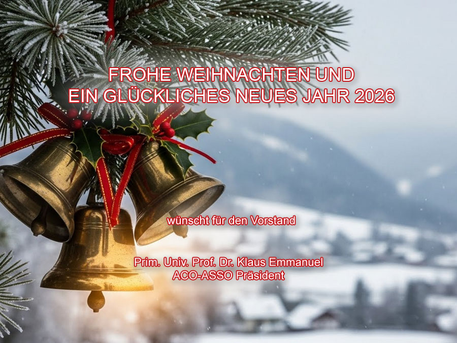 Frohe Weihnachten und ein glückliches Neues Jahr 2026